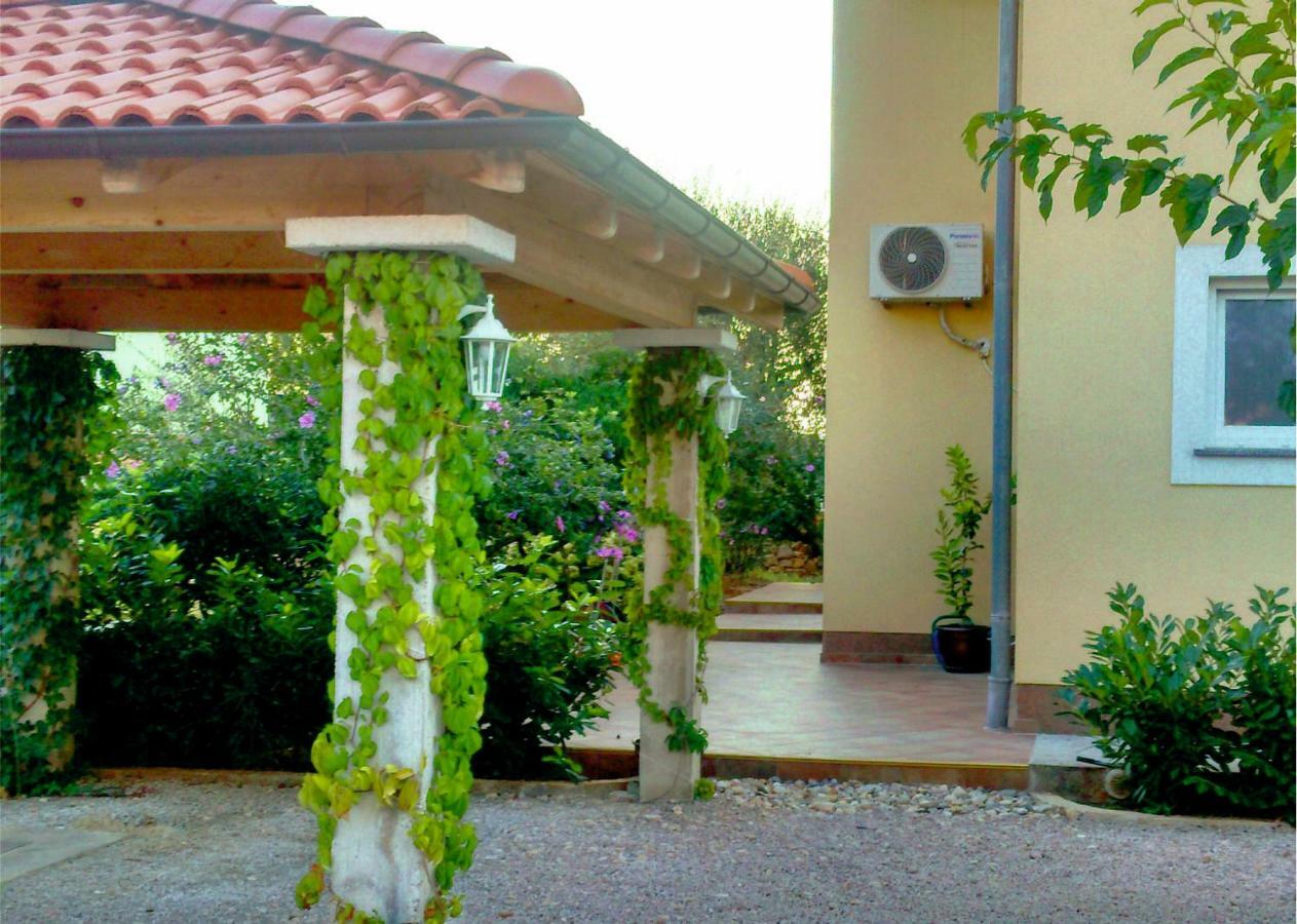 Apartament Olea Krk Veglia