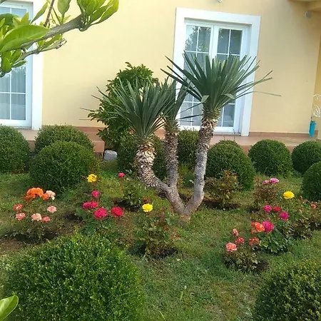 Apartmani Olea Krk Veglia Exterior foto